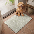 Washable Small Area Rugs for Entryway: 2x3 Door Mat Indoor Entrance by NoiFamo