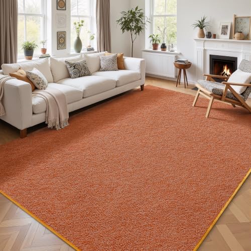 AROGAN 5x7 Area Rugs for Living Room Non Slip Dorm Bedroom Rug by AROGANAREARUG