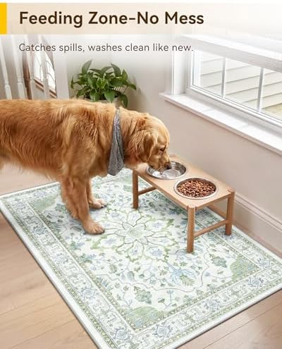 RELEANY Washable Area Rug, Small 2'x3' - Image 3
