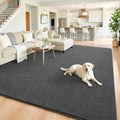 Chicrug 6x9 Minimalist Washable Soft Area Rugs by ChicrugHomeDecor