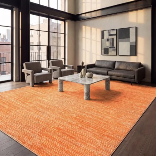 SAFAVIEH Vision Area Rug 9x12, Large Orange VSN606P by Unknown