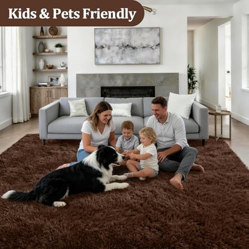 Area Rug Living Room Bedroom: 4x6 Fluffy Plush Shag Carpet Brown - Image 4