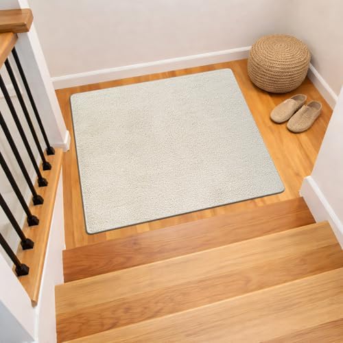 Area Rug 3x3 Bone Landing Mat Washable Indoor Rug Ultra Plus Thick Pile Solid by LenaRug