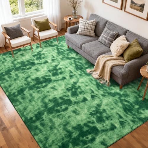 5x7 Tie-dye Green Area Rug Non-Slip Washable Soft by FinRe%CC%80cHome