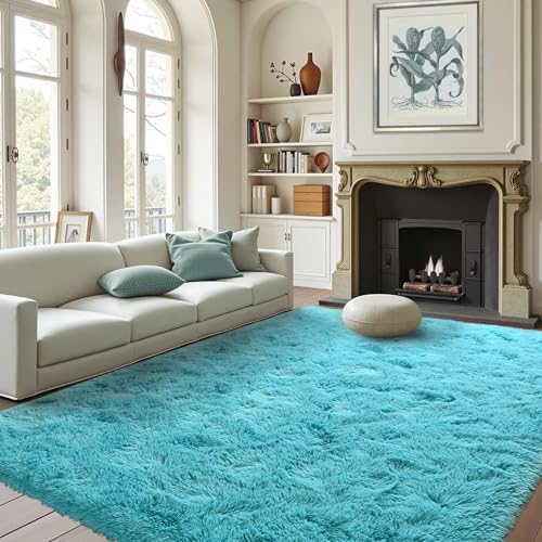 FinRèc Home 4x6 Non-Slip Fluffy Area Rugs by FinRe%CC%80cHome