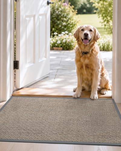 DEXI Ultra Thin Indoor Door Mat 24x36, Entrance Doormats - Image 2