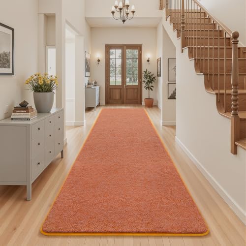 AROGAN 2x10 Runner Rug for Hallway, Long Runner Rugs Non Slip by AROGANAREARUG