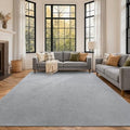 7x10 Large Pure Light Grey Area Rug Non-Slip Washable by FinRe%CC%80cHome