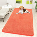 OLANLY Dog Door Mat for Muddy Paws 59x32, Super Absorbent Chenille Mud Mat by OLANLY