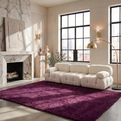 SAFAVIEH California Shag Collection Area Rug by Unknown