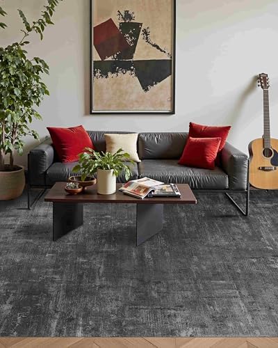 Washable 5x7 Area Rugs for Living Room Modern Abstract Rug by LatteFog