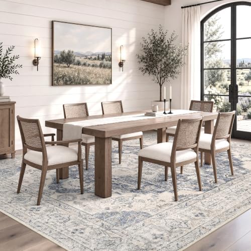 DCX 6x9 Area Rug: Vintage Distressed Rug - Image 4