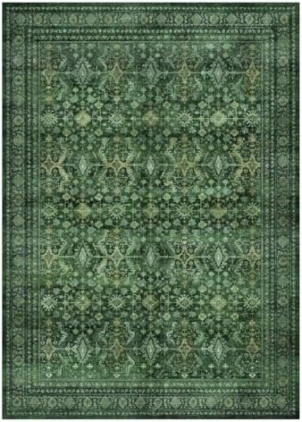 Lessymo Washable 2 x 6 Runner Rugs, Soft by Lessymo