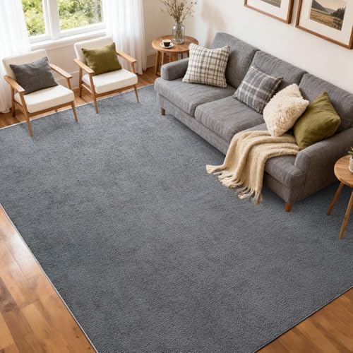 5x7 Pure Dark Grey Area Rug Non-Slip Washable Soft by FinRe%CC%80cHome