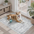 Soalmost 2x3 Washable Rugs for Kitchen, Small Area Rug Grey by Soalmost