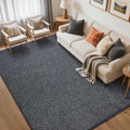 5x7 Grey Area Rug Non-Slip Washable Soft Thin by FinRe%CC%80cHome
