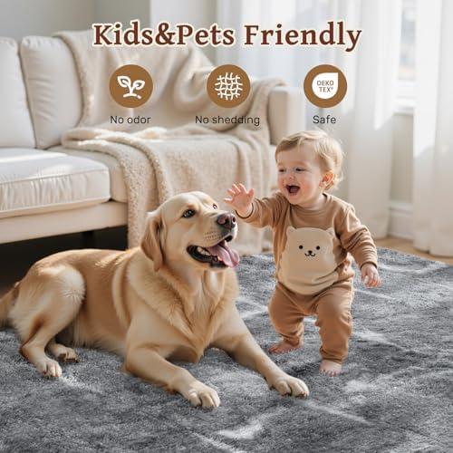 Area Rugs for Living Room 8x10 Feet, Soft Fluffy Shagg Plush Bedroom Rug - Image 6