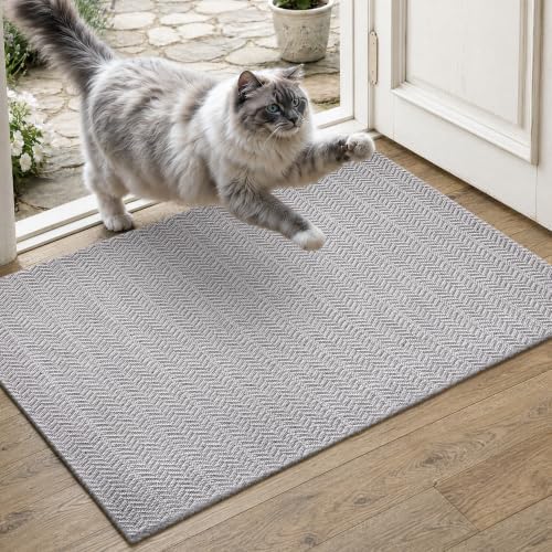 MatEssenz Entryway Rug 2' x 3', Washable Indoor Door Mat, Non Slip Low Profile by MatEssenz