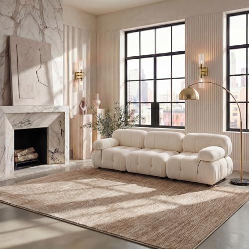 SAFAVIEH Vision Area Rug 8x10 Large, Light Brown VSN606C by Unknown