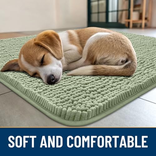 Smiry Dog Door Mat for Muddy Paws 24x16, Absorbs Moisture and Dirt Doormat - Image 2