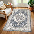 Washable 3x4 Entryway Area Rug: Non-Slip Stain Resistant Floor Mat Light Weight by HYHAOYUNLAI