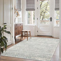 Soalmost Washable Area Rugs 4x6 by Soalmost