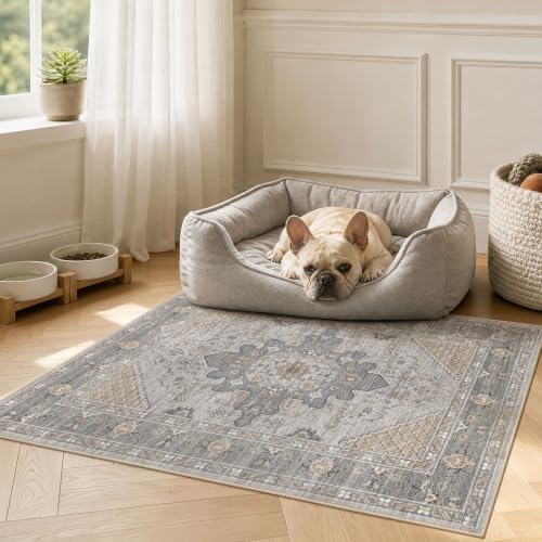 Tortania Area Rug 2x3 Doormat - Image 6