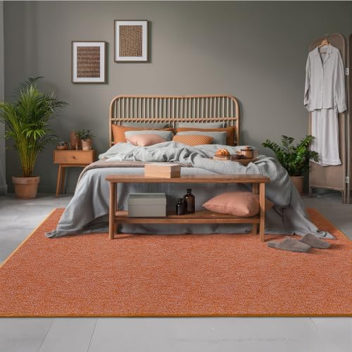 AROGAN 5x7 Area Rugs for Living Room Non Slip Dorm Bedroom Rug - Image 7