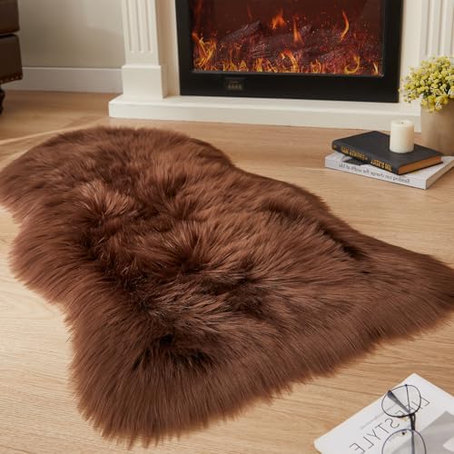 EasyJoy Ultra Soft Fluffy Shaggy Area Rug, 2 x 4 ft by EasyJoy