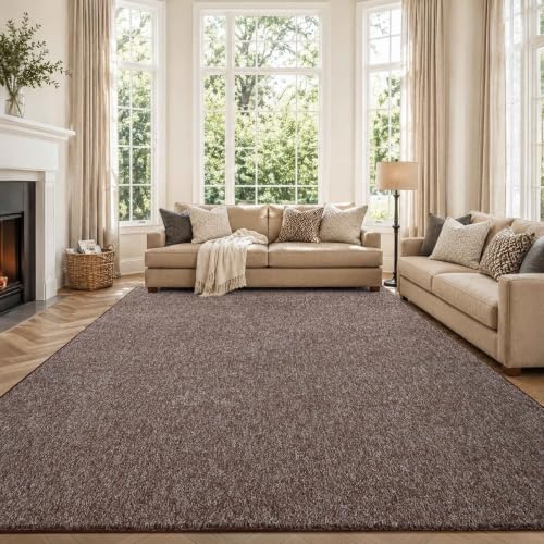 7x10 Large Brown/White Area Rug Non-Slip Washable by FinRe%CC%80cHome