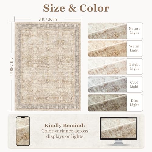 Small Area Rugs 3x4, Neutral Beige Throw Rugs - Image 2