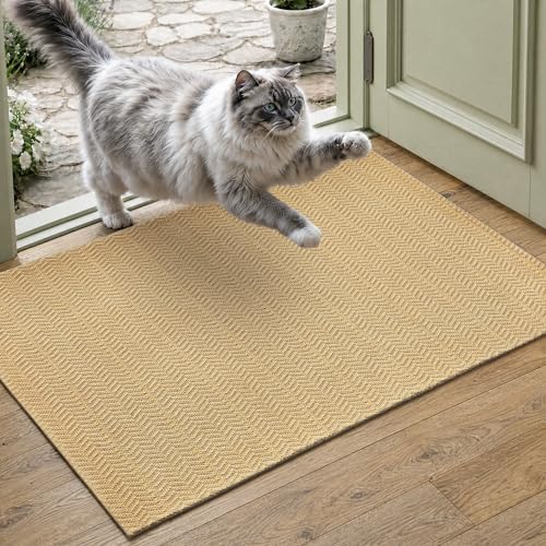 MatEssenz Entryway Rug 2' x 3', Washable Indoor Door Mat, Non Slip Low Profile by MatEssenz