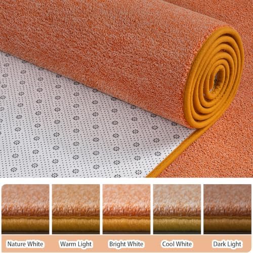 AROGAN 2x10 Runner Rug for Hallway, Long Runner Rugs Non Slip - Image 3