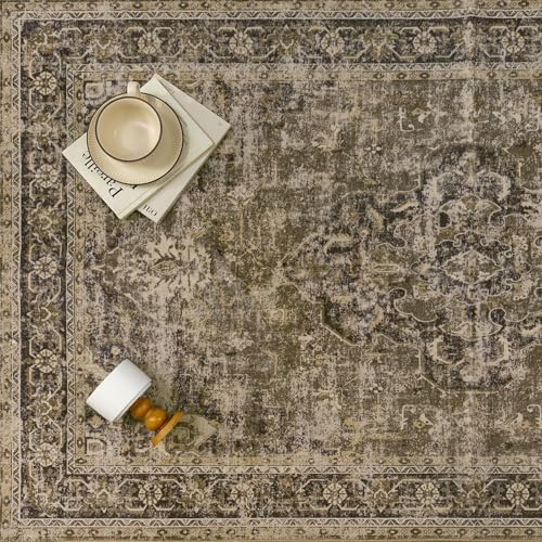 PureCozy Brown Area Rug 6x9 Vintage Oriental Distressed - Image 6