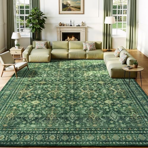 Lessymo Washable Area Rugs 6 x 9 by Lessymo