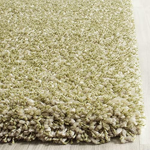 SAFAVIEH Area Rug 3x5 - Image 4