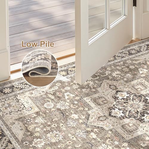 cotiled 3x5 Area Rug for Living Room, Traditional - Image 4