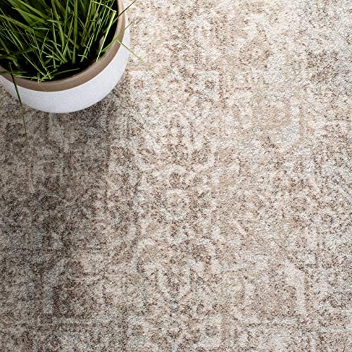 SAFAVIEH Evoke Runner Rug 2'2"x19', Ivory & Taupe EVK256E - Image 5