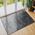2x3 Washable Mat, Small EntryWay Rugs, Stainproof Non-Slip by LIANLAM