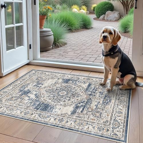 Washable Area Rugs 2x3 Entryway: Soft Ultra Thin Low Pile Mat Machine Washable by YOUFORTONG