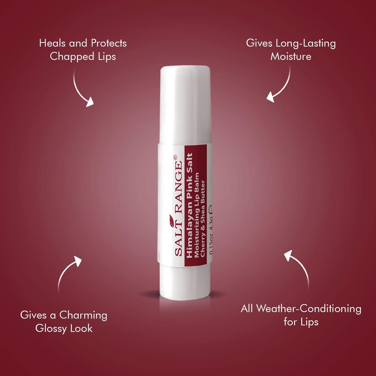 Salt Range Lip Balm with Cherry & Shea Butter – Hydrating and Soothing Lip Moisturizer for Deep Nourishment, Organic Chapstick, 12-Count Pack (24 Pieces) for Soft Lips