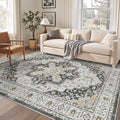 Madane 6x9 Area Rugs for Living Room, Soft Vintage Washable Rug by Madane