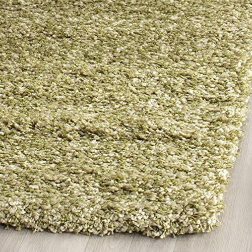 SAFAVIEH Area Rug 3x5 - Image 6