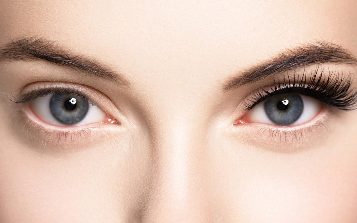 Everlast Strong Eyelash Extension Glue Liore Lash/Retention - 10 Weeks/ 0.5-1 Sec Fast Dry/Black Adhesive/Professional Supplies for Classic/Volume Lashes