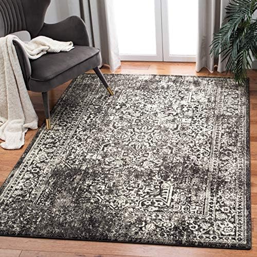 SAFAVIEH Evoke Area Rug 4x6 by Unknown