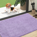 OLANLY Dog Door Mat for Muddy Paws 47x32, Super Absorbent Chenille Mud Mat by OLANLY