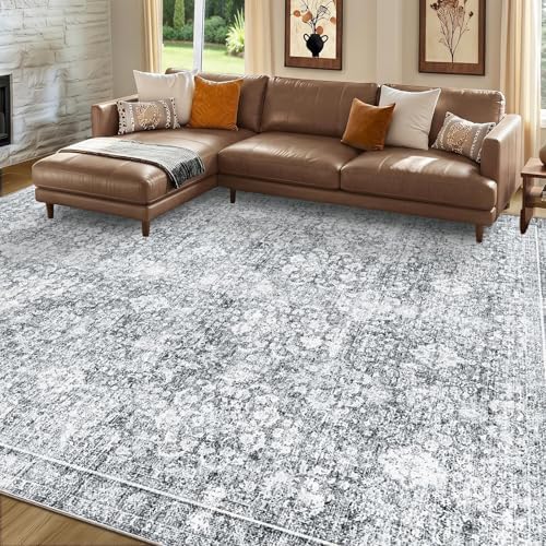 Sasttie 8x10 Area Rugs, Ultra-Soft Washable Rug by SASTTIE