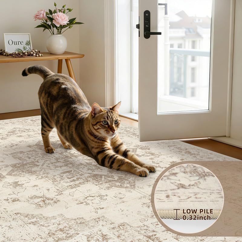 Round Area Rug Living Room: 8ft Washable Carpet Beige/Ivory - Image 6
