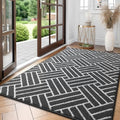 OLANLY Indoor Door Mat 59x35, Low-Profile Dirt Resistant Doormat by OLANLY