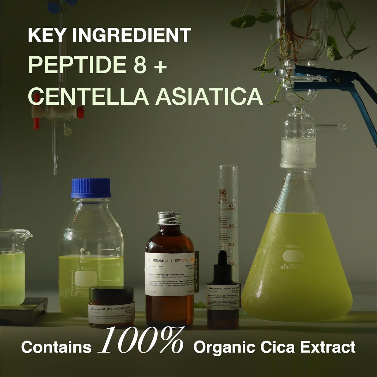 TOUN28 PEPTACICA Serum 1.01 fl.oz | 69.1% Centella Asiatica Extract – Moisturizing | Korean Skincare for Sensitive Skin